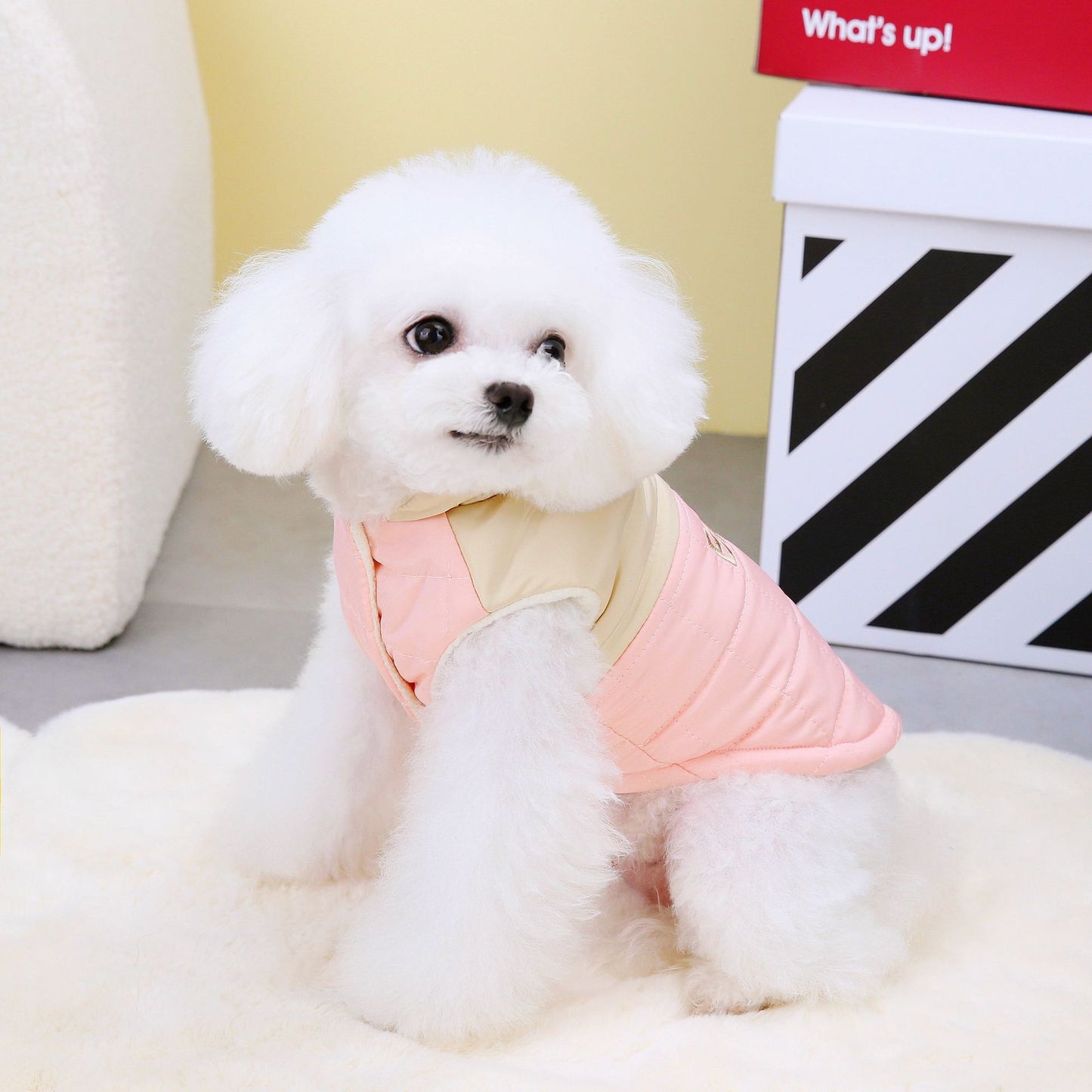 猫 犬 洋服 犬服 ペット服 大中小型犬 ペット用品 犬/猫用 犬の服 ペットウエア 小型犬 中型犬 通気 可愛い ドッグウェア トレーナー 犬 服 ワンピース サロペット ビションフリーゼ 犬猫服