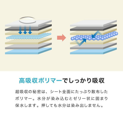 <a href="https://www.qoo10.jp/gmkt.inc/Search/brand.aspx?brandno=134820" target="_blank" class="title_brand" id="btn_brand" title="リコメン堂">リコメン堂</a>ペットシーツ レギュラー 400枚 ワイド 200枚 スーパーワイド 100枚 超厚型 炭入り 大容量 超吸収 消臭 脱臭 抗菌