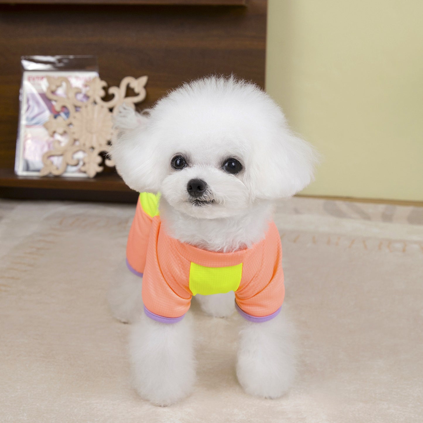 猫 犬 洋服 犬服 ペット服 大中小型犬 ペット用品 犬/猫用 犬の服 ペットウエア 小型犬 中型犬 通気 可愛い ドッグウェア トレーナー 犬 服 ワンピース サロペット ビションフリーゼ 犬猫服
