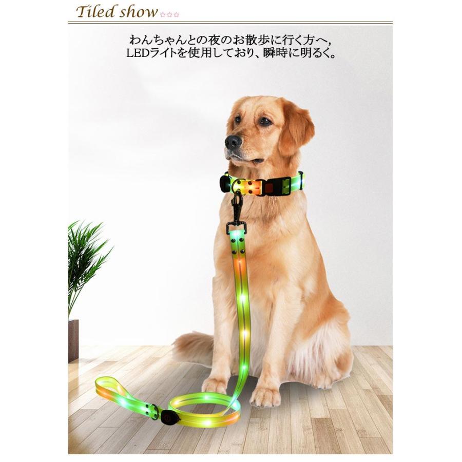 [送&料無料]リード LEDライト式リード LED 光る 首輪 ライト付き カラフル 夜間 USB 充電式 充電式 散歩 犬 発光 幅2.3cm 小型犬 点滅 犬用リード LEDライト式リード