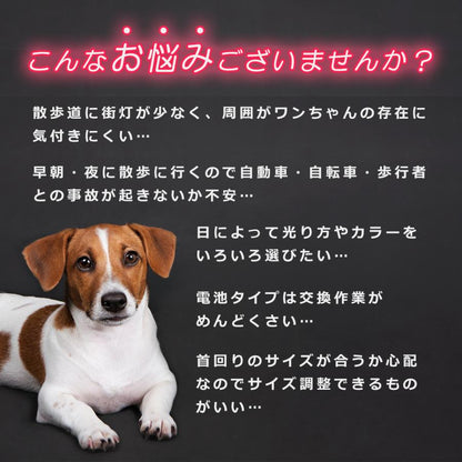 光る首輪 光る 充電式 散歩 首輪 LED おしゃれ 犬 夜 ペット レインボー 猫 USB ライト
