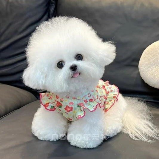 [犬 服]犬 洋服 ins人気商品 ペット猫外出サンウェア犬服春夏新作スカート