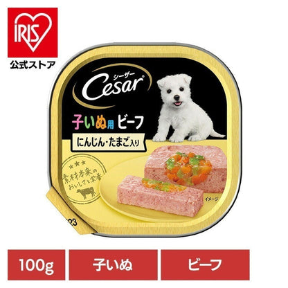 【人気商品】ドッグフード Cesar シーザー 子いぬ用 トレイ ビーフ にんじん・たまご入り 100g CE50N マースジャパンリミテッド