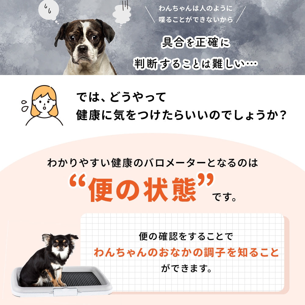 <a href="https://www.qoo10.jp/gmkt.inc/Search/brand.aspx?brandno=62316" target="_blank" class="title_brand" id="btn_brand" title="大正製薬">大正製薬</a>【公式】大正製薬 わんビオフェルミンS 40g 2袋 犬 サプリ サプリメント 腸活 免疫力 健康維持 ビフィズス菌 乳酸菌 犬サプリ イヌ 犬用 ペット 腸活サプリ 無添加 ふりかけ 粉 腸内環境