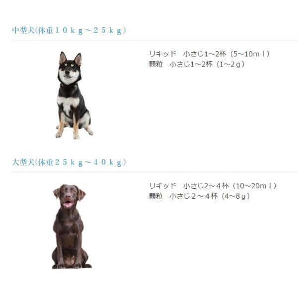 日本ビーエフ アニマストラス 100ml 液体 動物用 サプリメント 犬 猫 うさぎ モルモット 小動物 鳥 免疫力