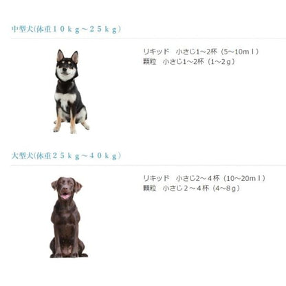 日本ビーエフ アニマストラス 100ml 液体 動物用 サプリメント 犬 猫 うさぎ モルモット 小動物 鳥 免疫力