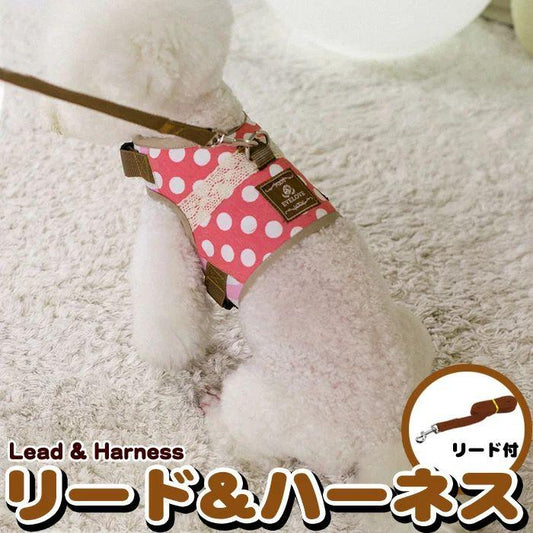 新商品プロモーション，数量限定 犬 猫 ハーネス リード ペット 水玉 ドット レース デザイン 服 ウェアハーネス 胴輪 キャット ドッグ犬 猫