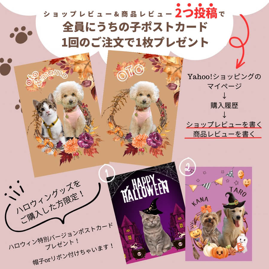 猫 チャーム 首輪 猫の首輪 りんごのほっぺ 軽い かわいい パピー 子犬 猫用 ペットグッズ専門店 鈴 子猫 鈴付き おしゃれ