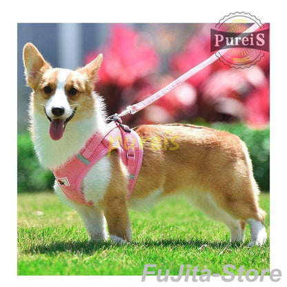 人気商品,犬 ハーネス リード付 ペット服 ウェアハーネス 胴輪 キャット ドッグ メッシュ 一体型 胸あて式 軽量 調節可能 犬用 小型犬 ペット用品 猫用首輪 猫/犬 可愛い
