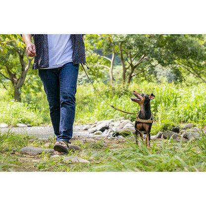 【人気商品】EZ リード ソフトトレーナーライト 120cm コーデュロイ EZYDOG