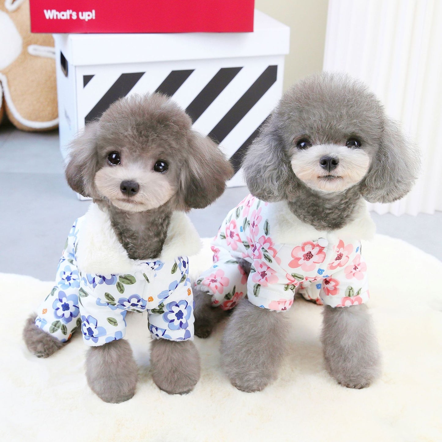 猫 犬 洋服 犬服 ペット服 大中小型犬 ペット用品 犬/猫用 犬の服 ペットウエア 小型犬 中型犬 通気 可愛い ドッグウェア トレーナー 犬 服 ワンピース サロペット ビションフリーゼ 犬猫服
