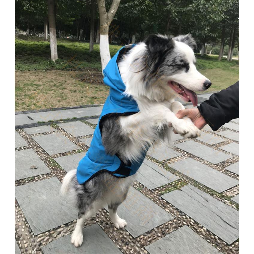 レインコート ドッグウエア 犬服 猫服 ペット服 ペットウエア 犬 猫 愛犬 ペット ペット用品 カラフル ペットグッズ 洋服 春 夏 秋 カジュアル かわいい 撥水