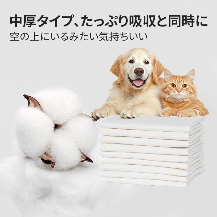 <a href="https://www.qoo10.jp/gmkt.inc/Search/brand.aspx?brandno=109151" target="_blank" class="title_brand" id="btn_brand" title="Honeycare">Honeycare</a>急速発送 ペットシーツ 中厚型 レギュラー 100枚 ワイド 50枚 スーパーワイド 25枚 トイレシーツ ペットシート 犬 猫 トイレ用品