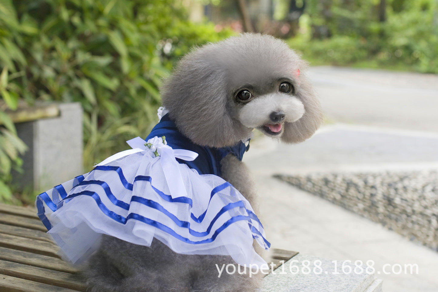 猫 犬 洋服 犬服 ペット服 大中小型犬 ペット用品 犬/猫用 犬の服 ペットウエア 小型犬 中型犬 通気 可愛い ドッグウェア トレーナー 犬 服 ワンピース サロペット ビションフリーゼ 犬猫服