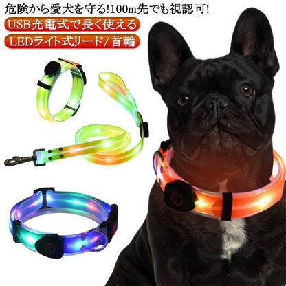 [送&料無料]リード LEDライト式リード LED 光る 首輪 ライト付き カラフル 夜間 USB 充電式 充電式 散歩 犬 発光 幅2.3cm 小型犬 点滅 犬用リード LEDライト式リード