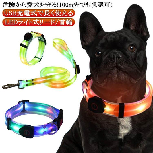 [送&料無料]リード LEDライト式リード LED 光る 首輪 ライト付き カラフル 夜間 USB 充電式 充電式 散歩 犬 発光 幅2.3cm 小型犬 点滅 犬用リード LEDライト式リード