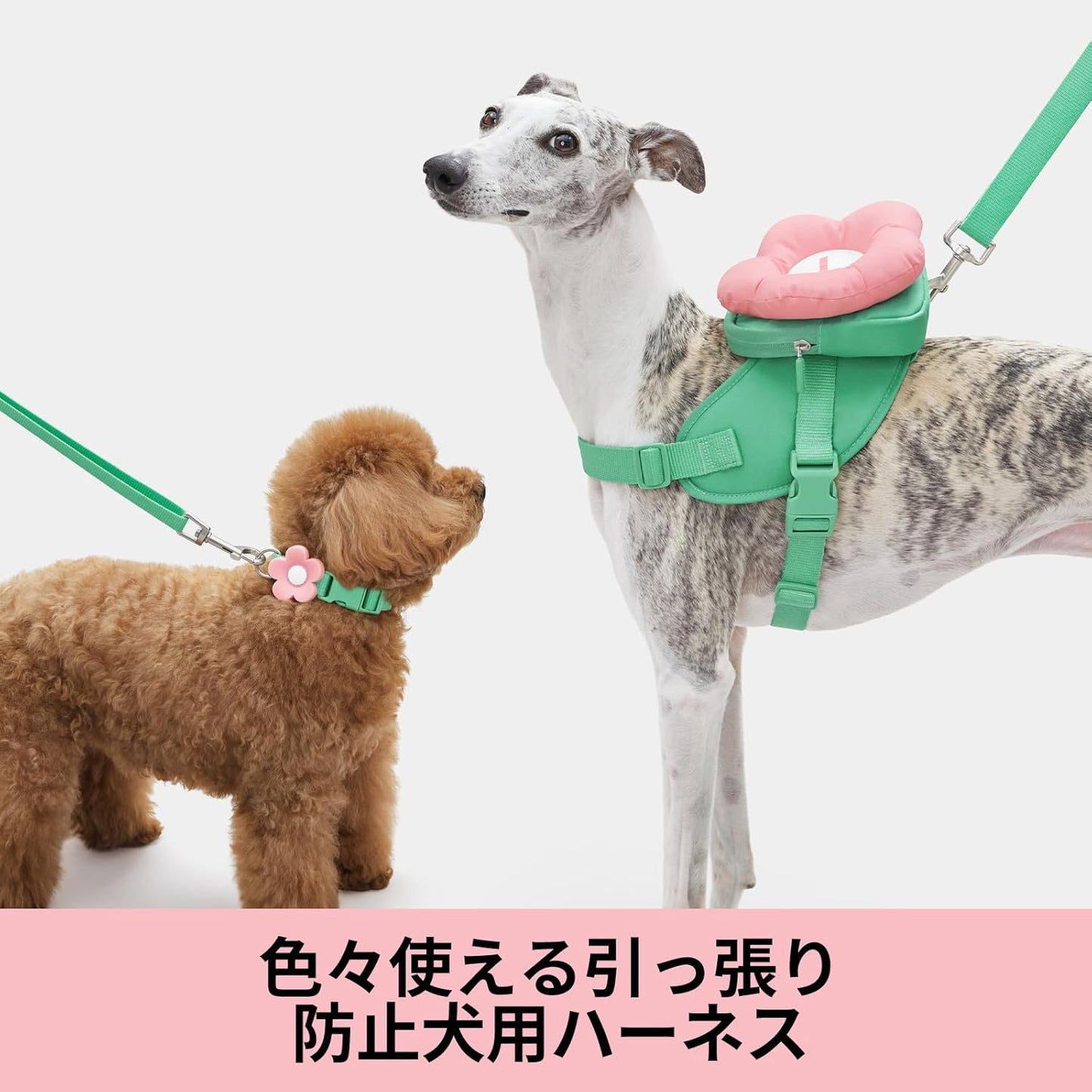 ベトレスカ ハーネス フローラ ハーネスリード リュックセット 可愛い 犬用散歩 トレーニング用 調節可能 咳き込み軽減 簡単なコントロール 抜けない 通気性 簡単着脱 おしゃれ 柔らかなパッド ペッ