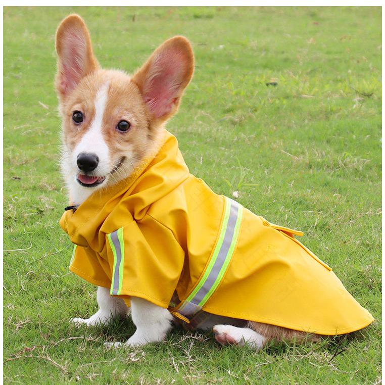 ドッグウエア 犬服 猫服 ペット服 ペットウエア 犬 猫 愛犬 ペット ペット用品 カラフル ペットグッズ 洋服 春 夏 秋 カジュアル レインコート かわいい 撥水