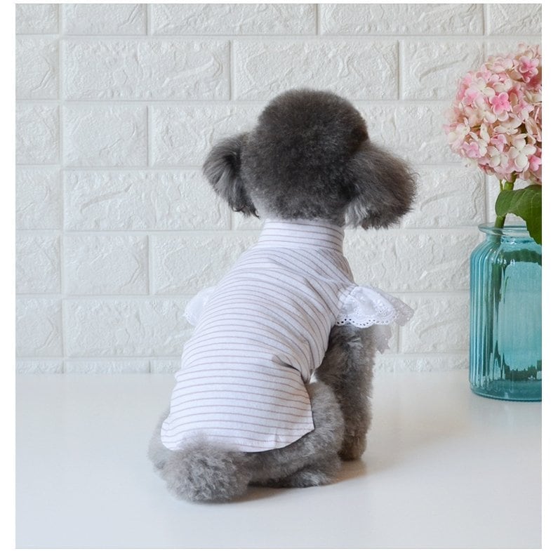ペットウェア新作秋冬 ペット服　犬猫服　快適で可愛い ペット用品 ペットグッズ ペットウエア コスチューム ボーダー ハイネック フリル レース シンプルペットウェア