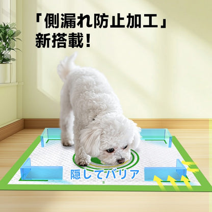 <a href="https://www.qoo10.jp/gmkt.inc/Search/brand.aspx?brandno=109151" target="_blank" class="title_brand" id="btn_brand" title="Honeycare">Honeycare</a>ペットシーツ 中厚型 柄付き レギュラー 80枚/ワイド 40枚/スーパーワイド 20枚 横漏れ防止 トイレシート 犬 猫 ペットシート おしっこシート 瞬間吸水 逆戻り防止 ペット用 しっかり超吸収