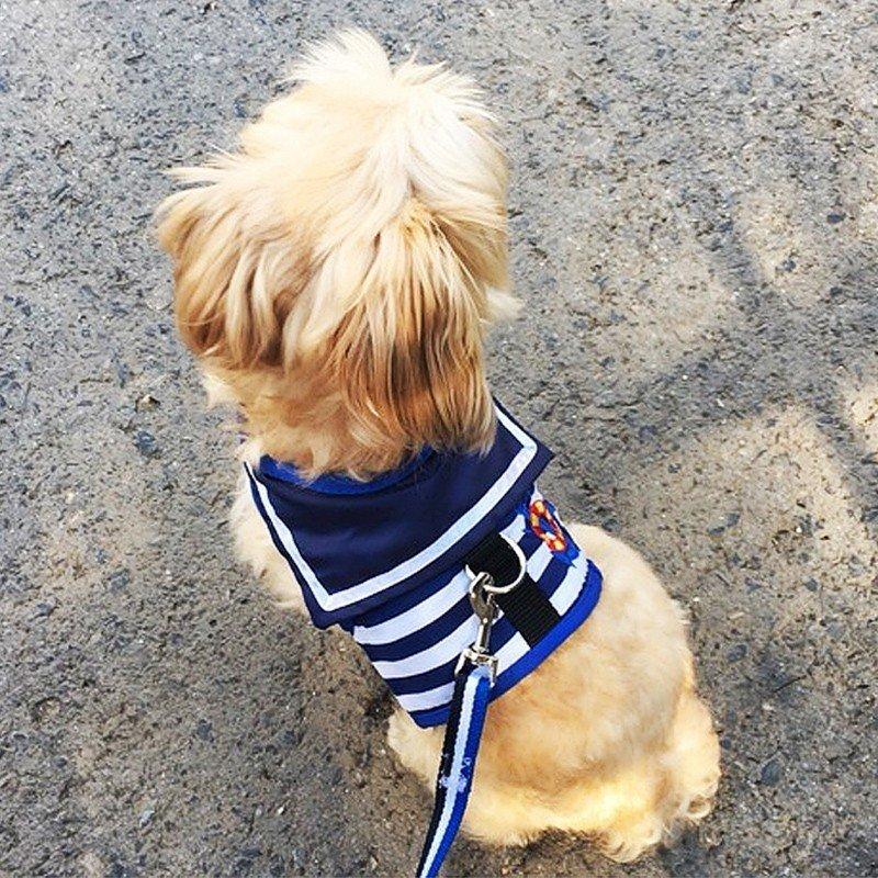 ハーネスリードセットお散歩紐リード胴輪首輪犬用小型犬犬具散歩お出かけ簡単装着ワンちゃんおしゃれかわいい