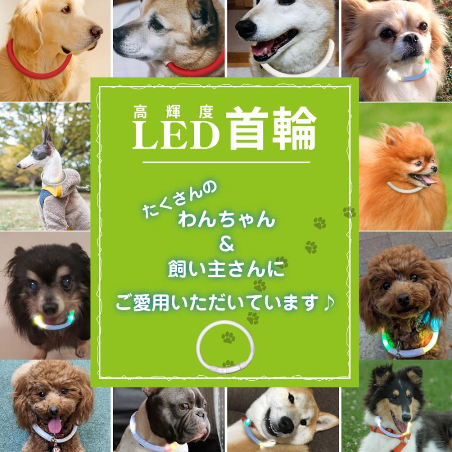 中型 猫 首輪 小型 ペット 大型 LED 充電式 光る 犬 ライト カラー