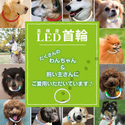 中型 猫 首輪 小型 ペット 大型 LED 充電式 光る 犬 ライト カラー