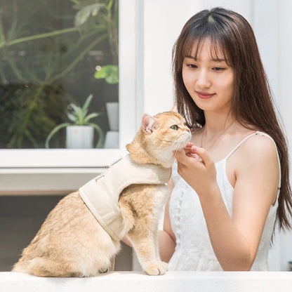 選べる福袋2025-犬 ハーネスリード ２点セット ペット用品 大型犬 小型犬 中型犬 ペットグッズ 犬用 猫用 胴輪