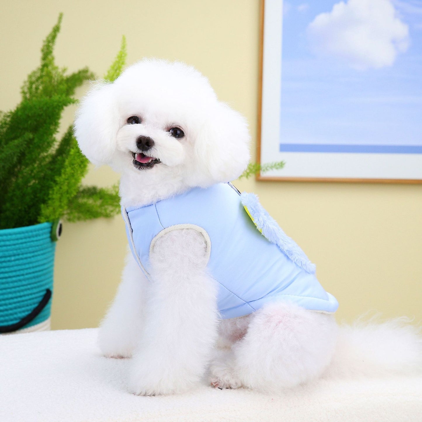 猫 犬 洋服 犬服 ペット服 大中小型犬 ペット用品 犬/猫用 犬の服 ペットウエア 小型犬 中型犬 通気 可愛い ドッグウェア トレーナー 犬 服 ワンピース サロペット ビションフリーゼ 犬猫服