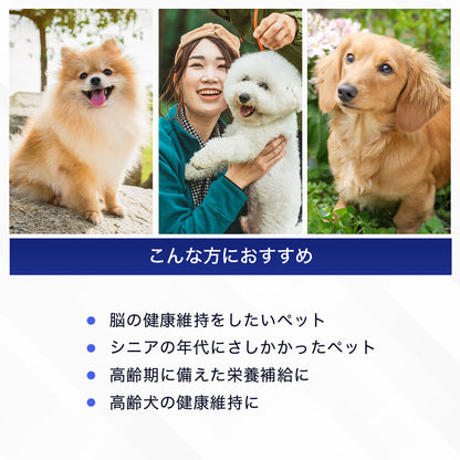 <a href="https://www.qoo10.jp/gmkt.inc/Search/brand.aspx?brandno=128060" target="_blank" class="title_brand" id="btn_brand" title="Suntory Wellness">Suntory Wellness</a>サントリー 公式 Pet Health (ペットヘルス) ARA+DHA 動物用栄養補助食品 60粒入/約20～30日分