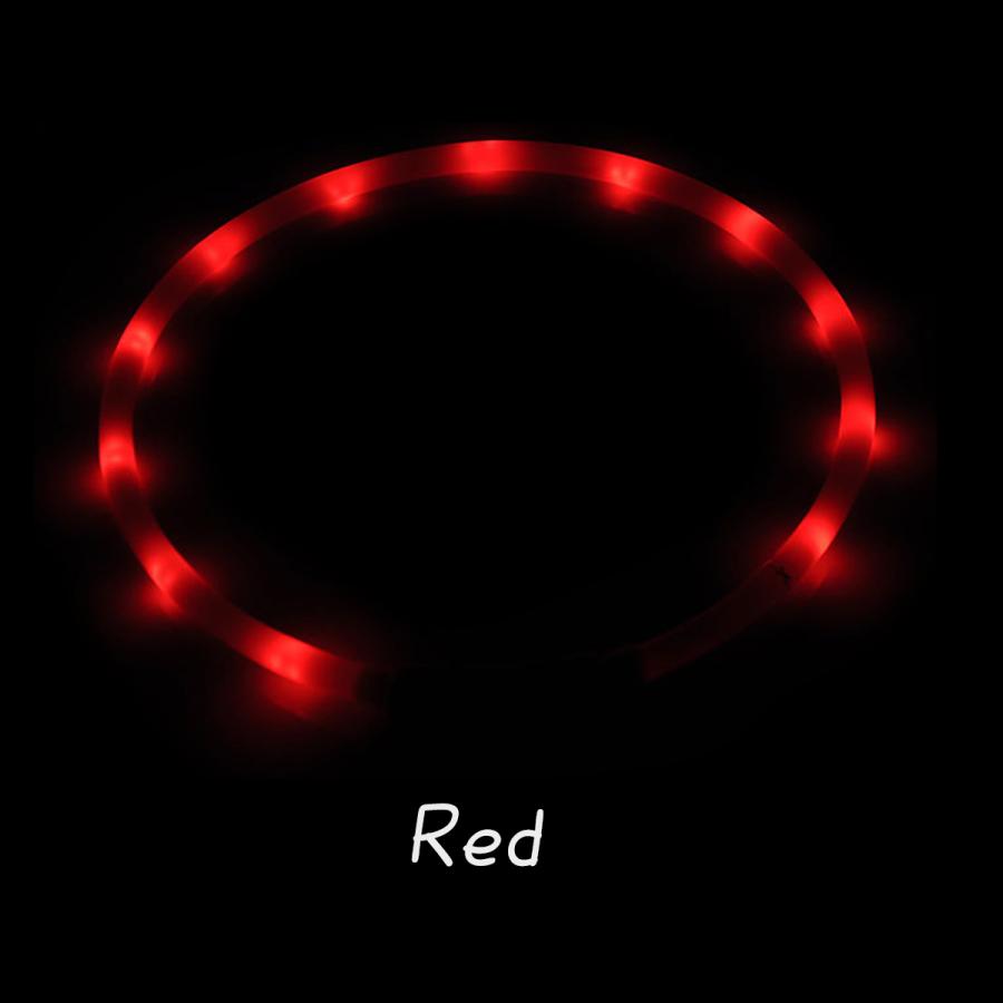 光る首輪 光る 充電式 散歩 首輪 LED おしゃれ 犬 夜 ペット レインボー 猫 USB ライト