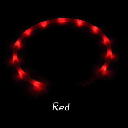 光る首輪 光る 充電式 散歩 首輪 LED おしゃれ 犬 夜 ペット レインボー 猫 USB ライト