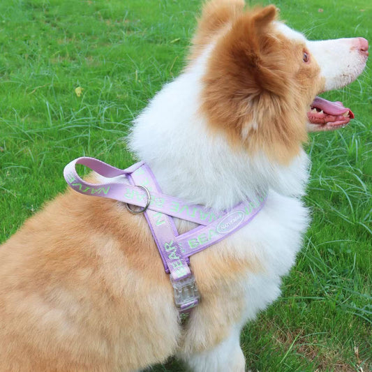 犬牽引ロープベストサドルペット防爆ペット犬ストラップ中小型熊テディコーキ外出通用