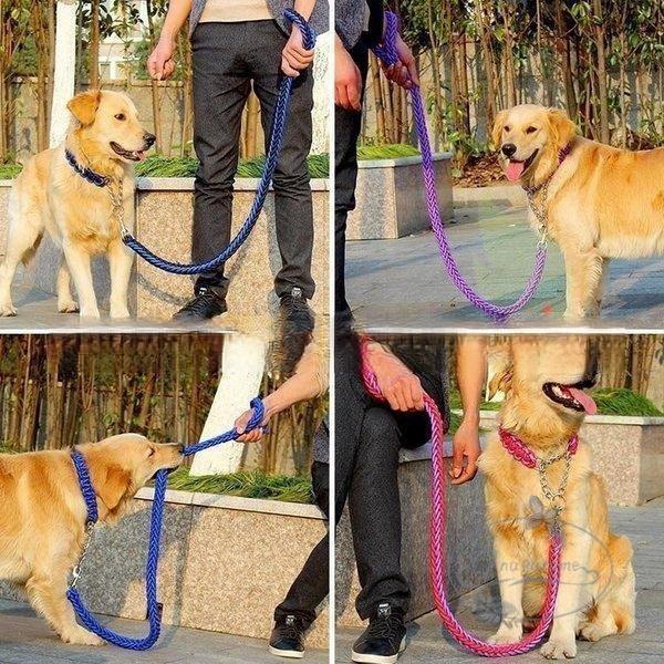 リードと首輪セット 首輪セット リードセット 首輪 小型犬 中型犬 大型犬 犬 首輪 犬用 リード 散歩 お出かけ ドック用品 リード長さ1.2メートル