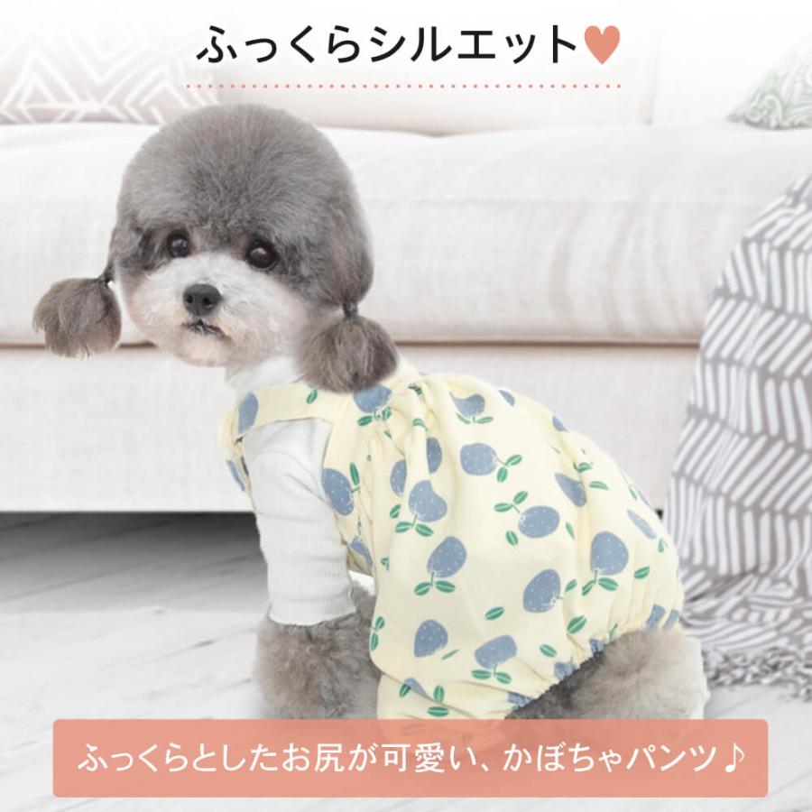 犬服 キャミソール ドッグウェア ワンピース サロペット 秋服 夏服 春服 かぼちゃパンツ カットソー ドッグウエア 犬の服 犬 服 フルーツ柄かぼちゃパンツ