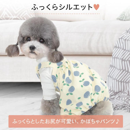 犬服 キャミソール ドッグウェア ワンピース サロペット 秋服 夏服 春服 かぼちゃパンツ カットソー ドッグウエア 犬の服 犬 服 フルーツ柄かぼちゃパンツ