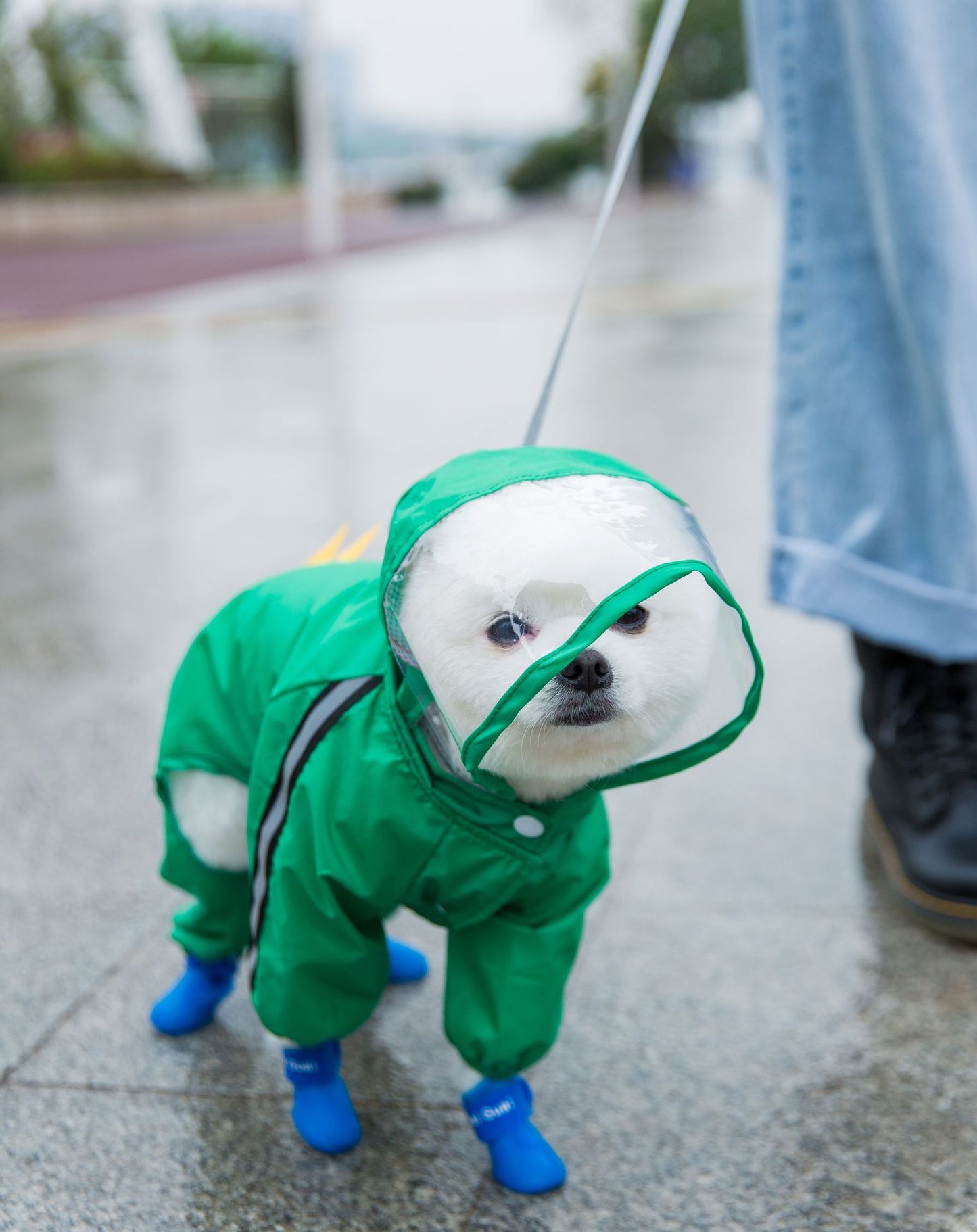 ペット服 犬 レインコート 防水 ポンチョ ペット 雨の日 服