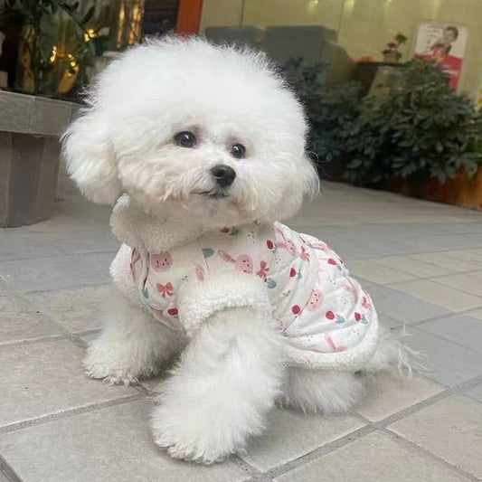 秋冬の犬服 テディボーミペットのコキシナレビーベア愛らしい 犬猫服秋冬服 パープル セーター 可愛らしい 暖かい野球服 冬アウター