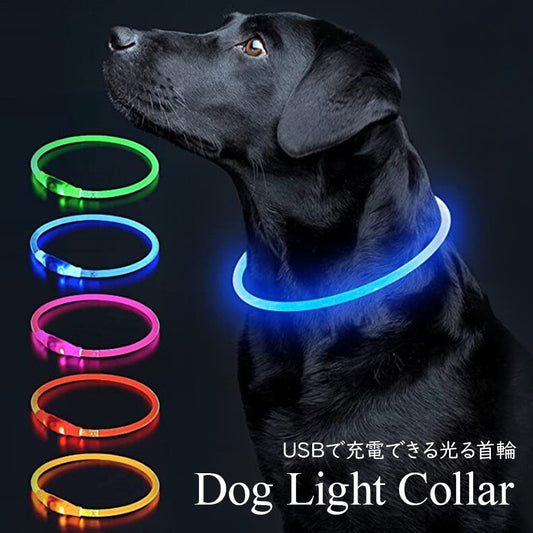 USB充電式の光る首輪 子犬 中型犬 お散歩にぴったり 発光 LED首輪