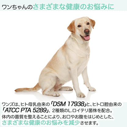 <a href="https://www.qoo10.jp/gmkt.inc/Search/brand.aspx?brandno=112140" target="_blank" class="title_brand" id="btn_brand" title="BioGaia">BioGaia</a>【公式ストア 即日発送】ワンズ Wans 10ml（犬用）ペット用　口臭対策　乳酸菌　ロイテリ菌 マルチプロバイオティックス