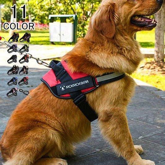 ハーネスリード胴輪首輪犬用中型犬スプリングペット8の字ハーネス通気性リードハーネスセットドッグランお散歩脱着簡単衝撃吸収外出