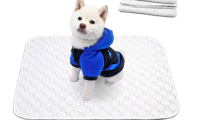 洗えるペットシーツ 洗える 滑り止め 犬シーツ ワイド おしっこシート ペットシーツ 消臭 丸ごと洗える 下敷きマット 四重構造 漏れ防止 速乾 中型 大型 犬 猫 犬用 おしっこパッド エ