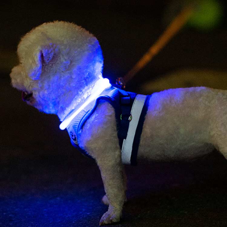 USB充電 ペット LED 光る カラー 小型犬 便利 散歩 リード ライト 首輪 光 繰り返し使える 犬 大型犬 光る首輪 猫 アウトドア 事故防止 安全グッズ ペット用品 柔らかい 痛くない ドッ