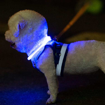 USB充電 ペット LED 光る カラー 小型犬 便利 散歩 リード ライト 首輪 光 繰り返し使える 犬 大型犬 光る首輪 猫 アウトドア 事故防止 安全グッズ ペット用品 柔らかい 痛くない ドッ