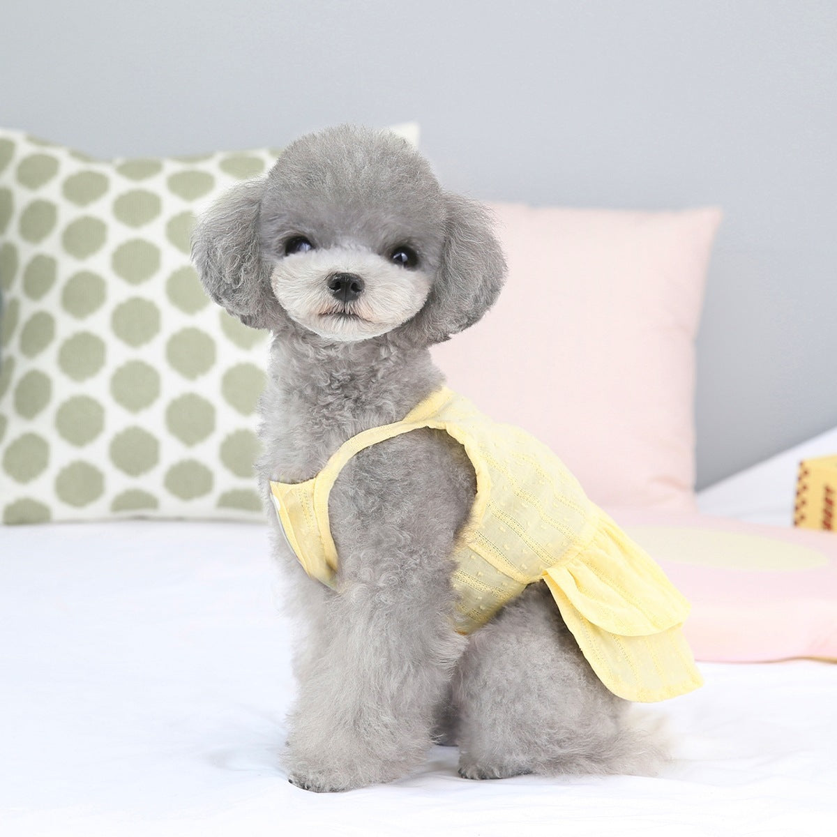 猫 犬 洋服 犬服 ペット服 大中小型犬 ペット用品 犬/猫用 犬の服 ペットウエア 小型犬 中型犬 通気 可愛い ドッグウェア トレーナー 犬 服 ワンピース サロペット ビションフリーゼ 犬猫服