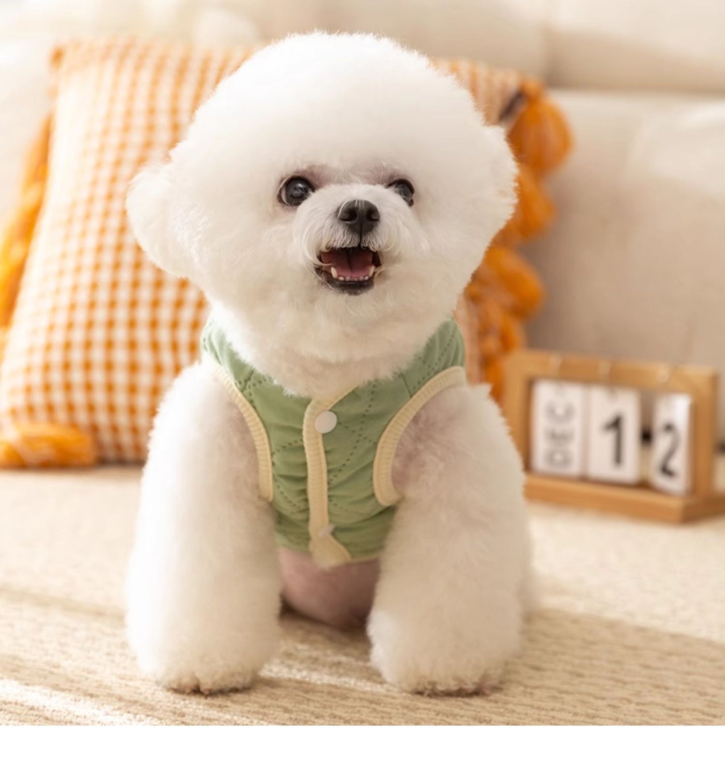 犬服 防寒着 ペット 厚手 無地 コットン 牽引可能 子犬用 猫 洋服 秋冬物