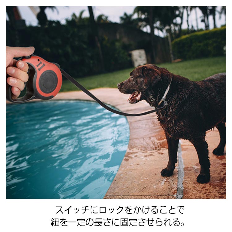 リード 小型犬 中型犬 猫 犬用 長さ3m 伸縮リード テープタイプ コードタイプ 頑丈 ロングリード 伸びるリード 巻き取り お散歩 コンパクト 軽量