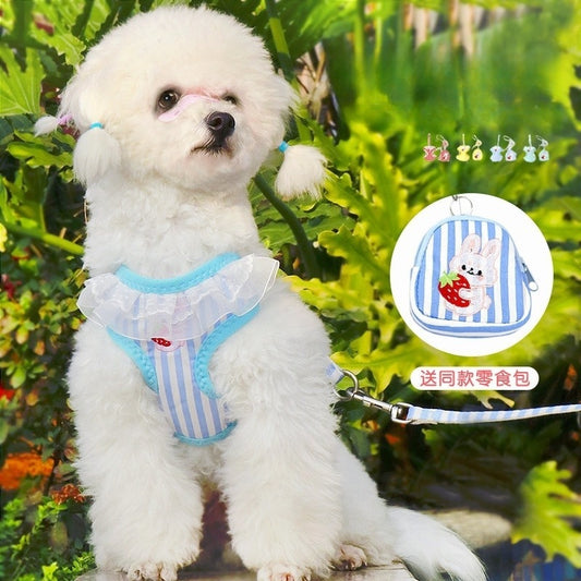 ネコ用ハーネス 犬 リード 60 お散歩 簡単装着 シンプル 小型犬 ペットハーネス 猫用 犬用 犬用ハーネス リーシュ ハーネスリードセット 軽量 ペット用品 2点セット おしゃれ 胴輪 中型犬 お