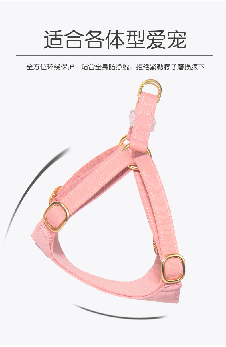 シンプル ハーネス 簡単装着 お出かけ 小型犬 胴輪 ネコ用ハーネス ハーネスリードセット リード 犬用 犬用ハーネス おしゃれ 軽量 2点セット 犬 お散歩 猫用 ペットハーネス リーシュ 中型犬