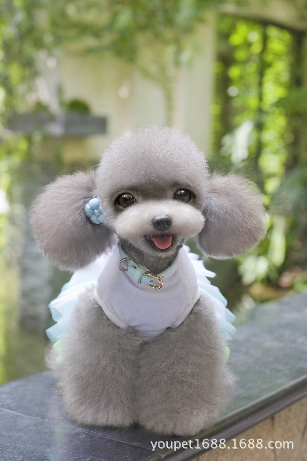 猫 犬 洋服 犬服 ペット服 大中小型犬 ペット用品 犬/猫用 犬の服 ペットウエア 小型犬 中型犬 通気 可愛い ドッグウェア トレーナー 犬 服 ワンピース サロペット ビションフリーゼ 犬猫服